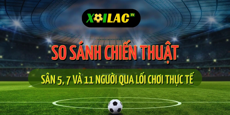 So sánh chiến thuật sân 5, 7 và 11 người khi xem trực tiếp bóng đá